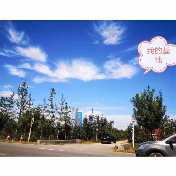 我司園藝基地(dì)入口